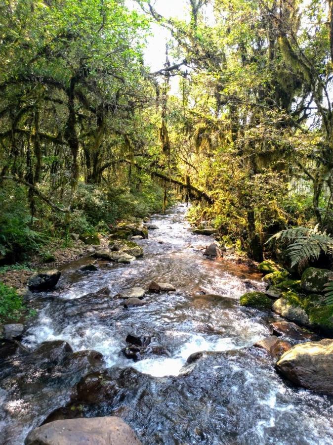 Chales Estancia Cachoeira Do Avencal Urubici Bagian luar foto